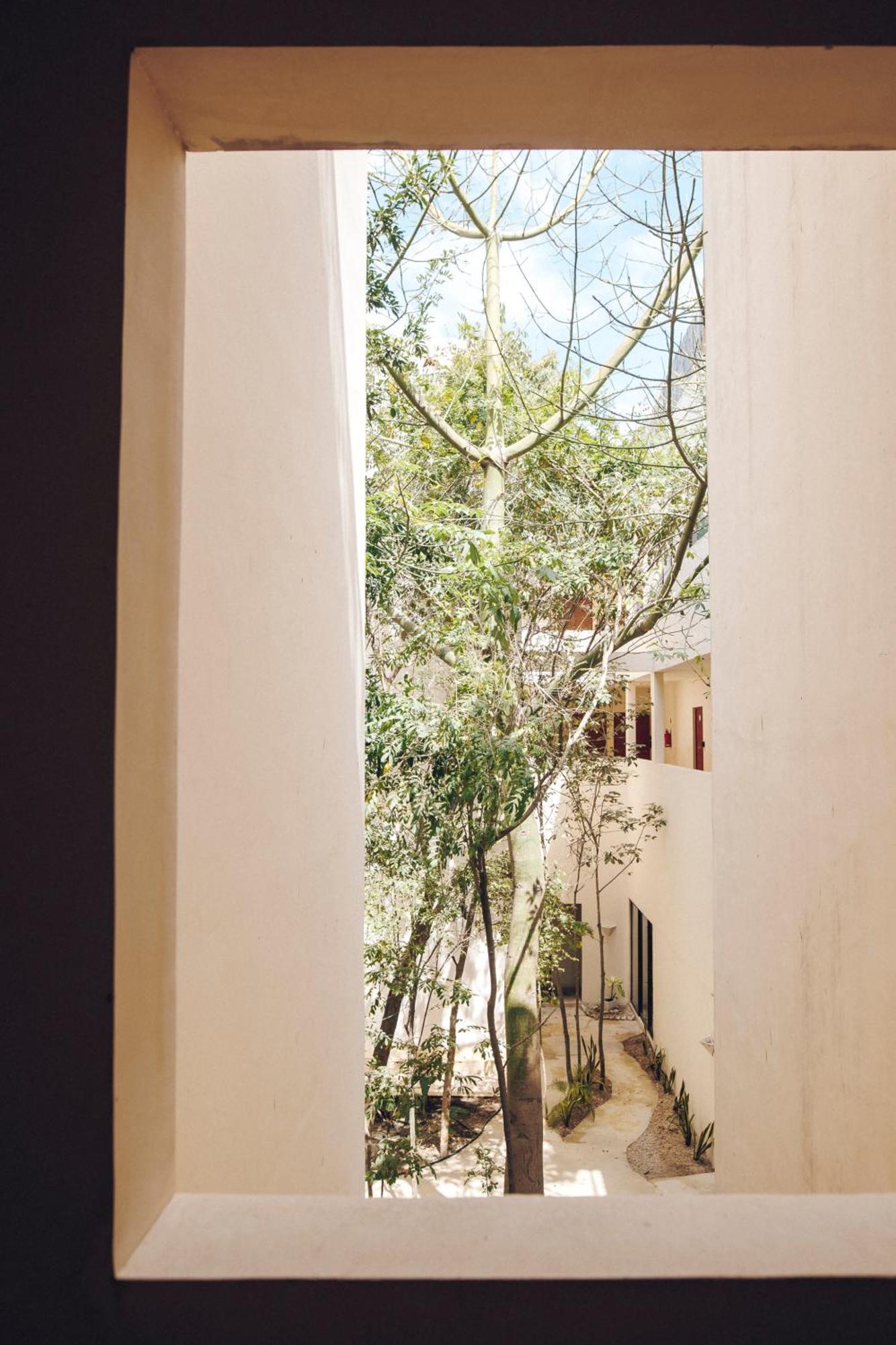 2 Bikes Free Exlusive Building Close To The Sea Tulum Exteriör bild