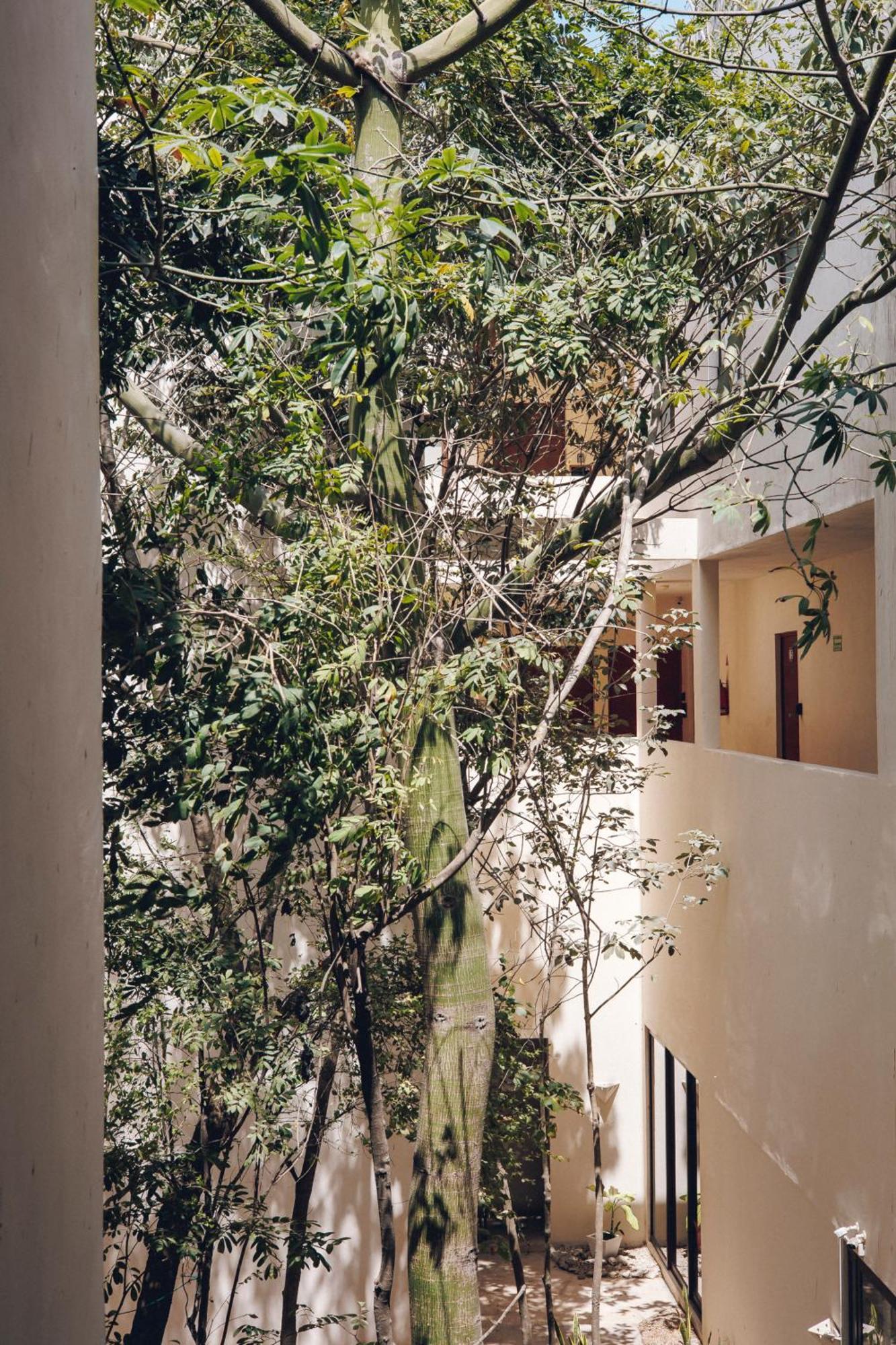 2 Bikes Free Exlusive Building Close To The Sea Tulum Exteriör bild